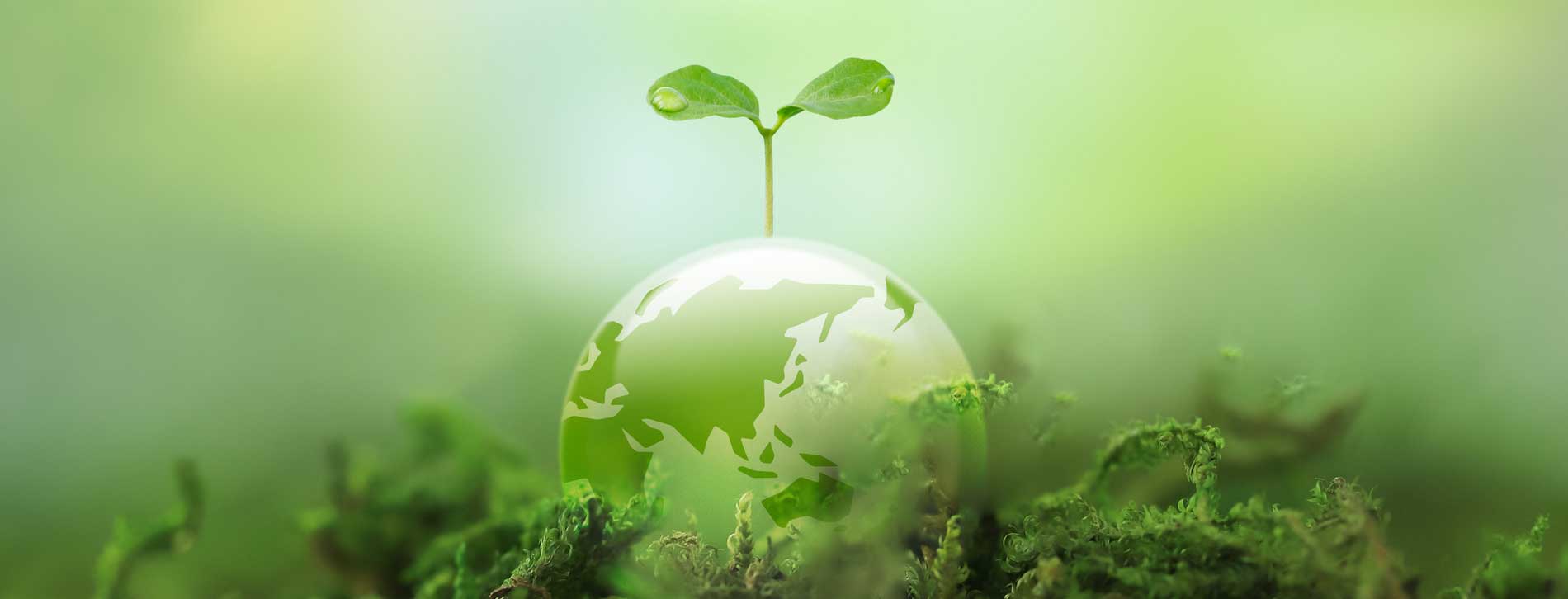 サステナビリティ